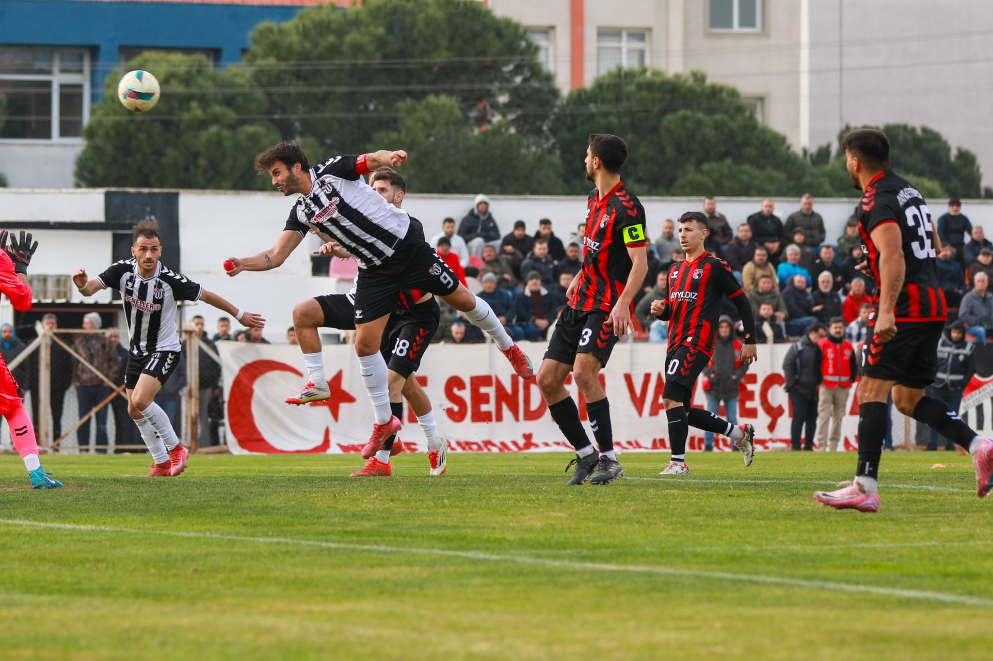 602330629 1330836909082674 6358589292776049963 N