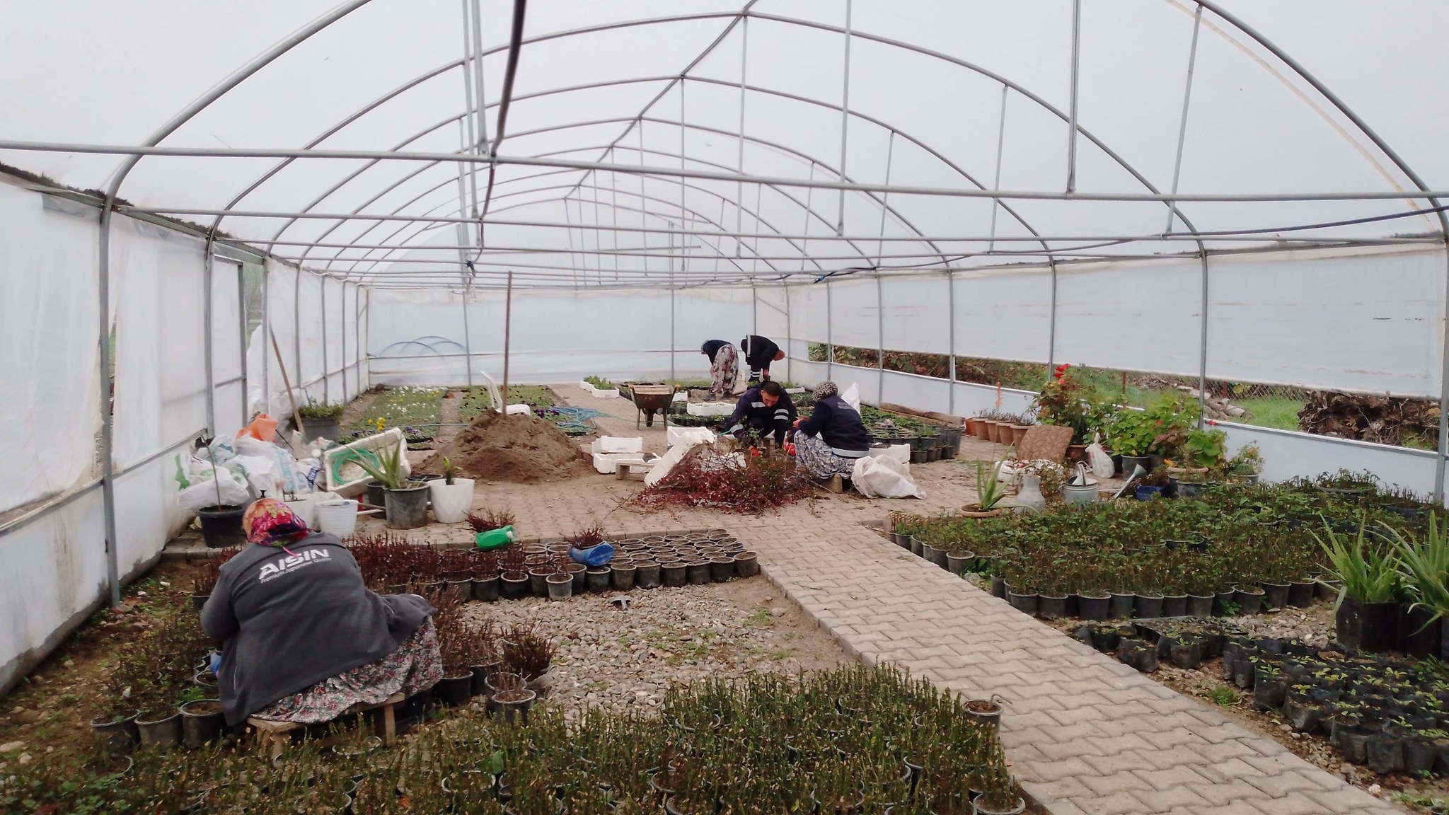 602395687 1186742476992081 5736463949726183861 N