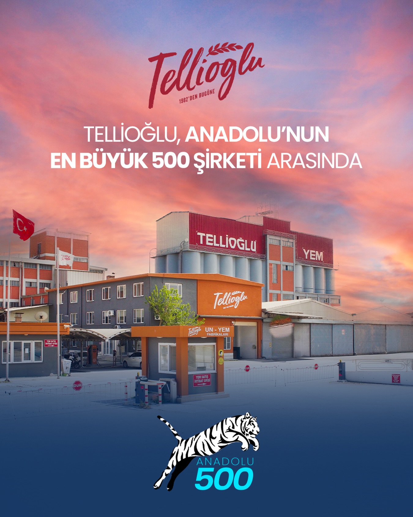 602835589 18353150335207488 6285141129765048228 N