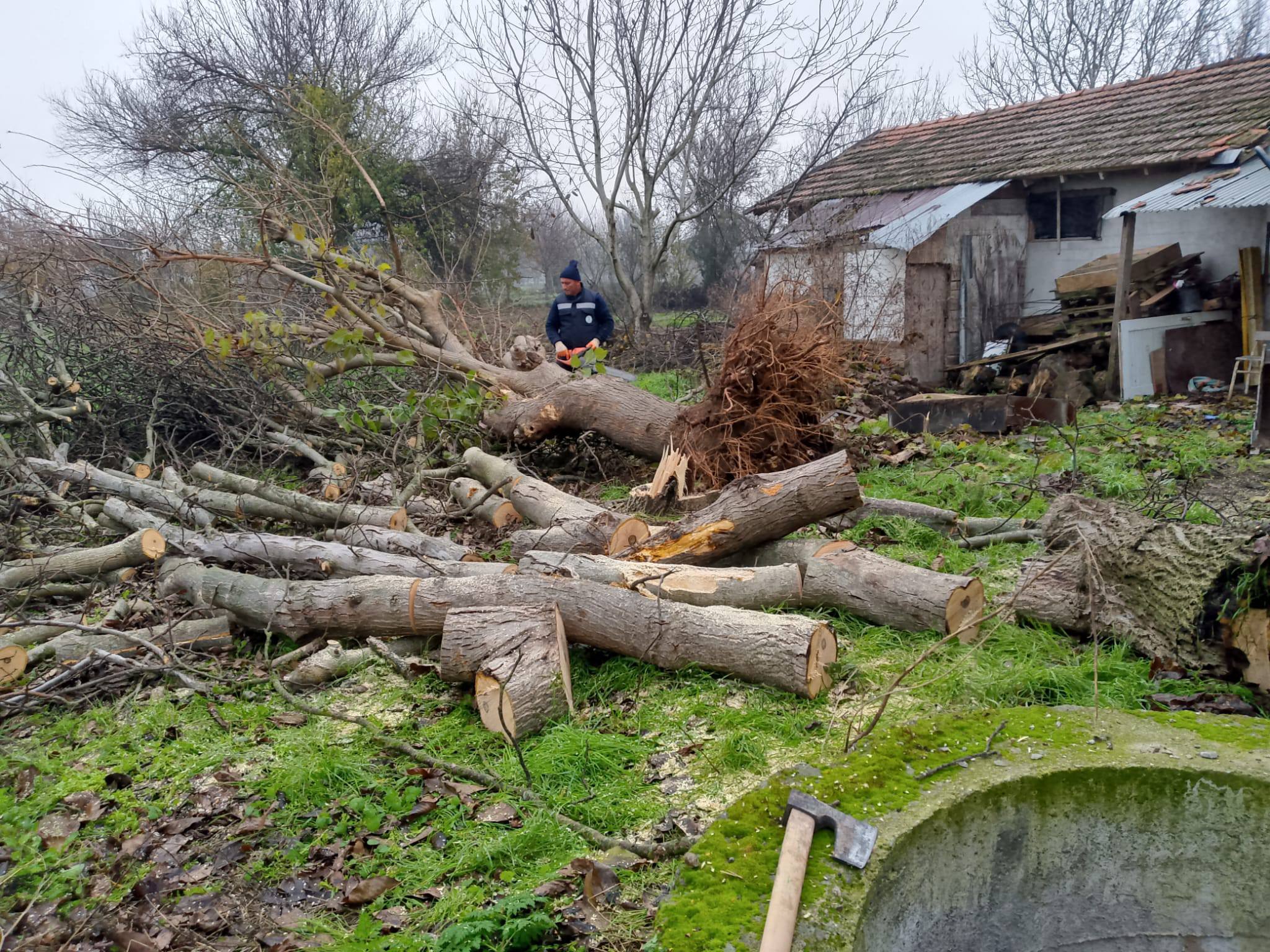 602967341 1185220903810905 604021599640260696 N