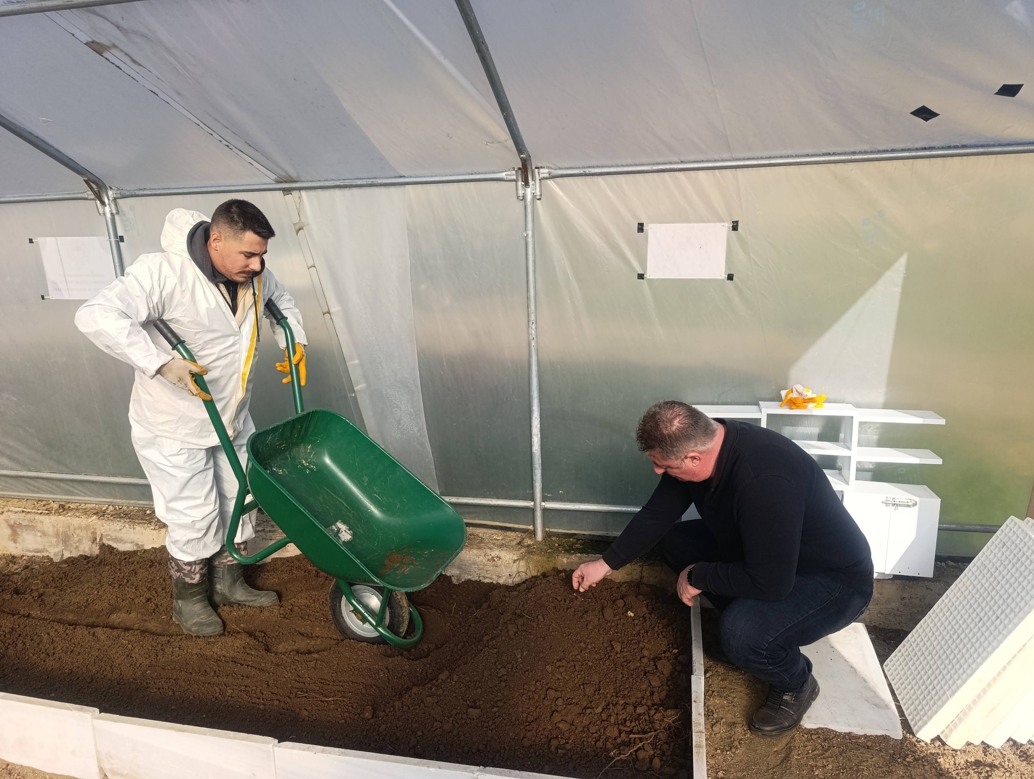 603877284 122154075260694862 8092372094258155334 N