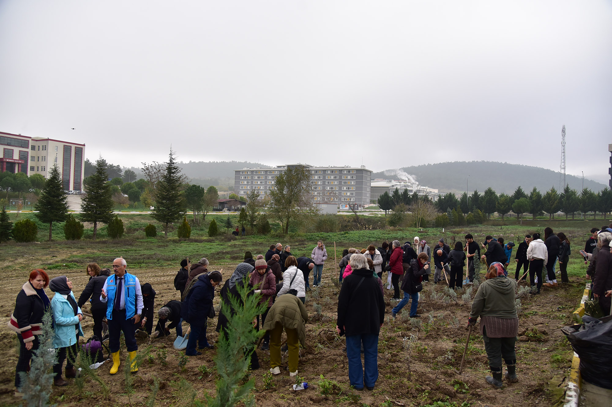 603919413 1303139601843228 8793469155551996386 N