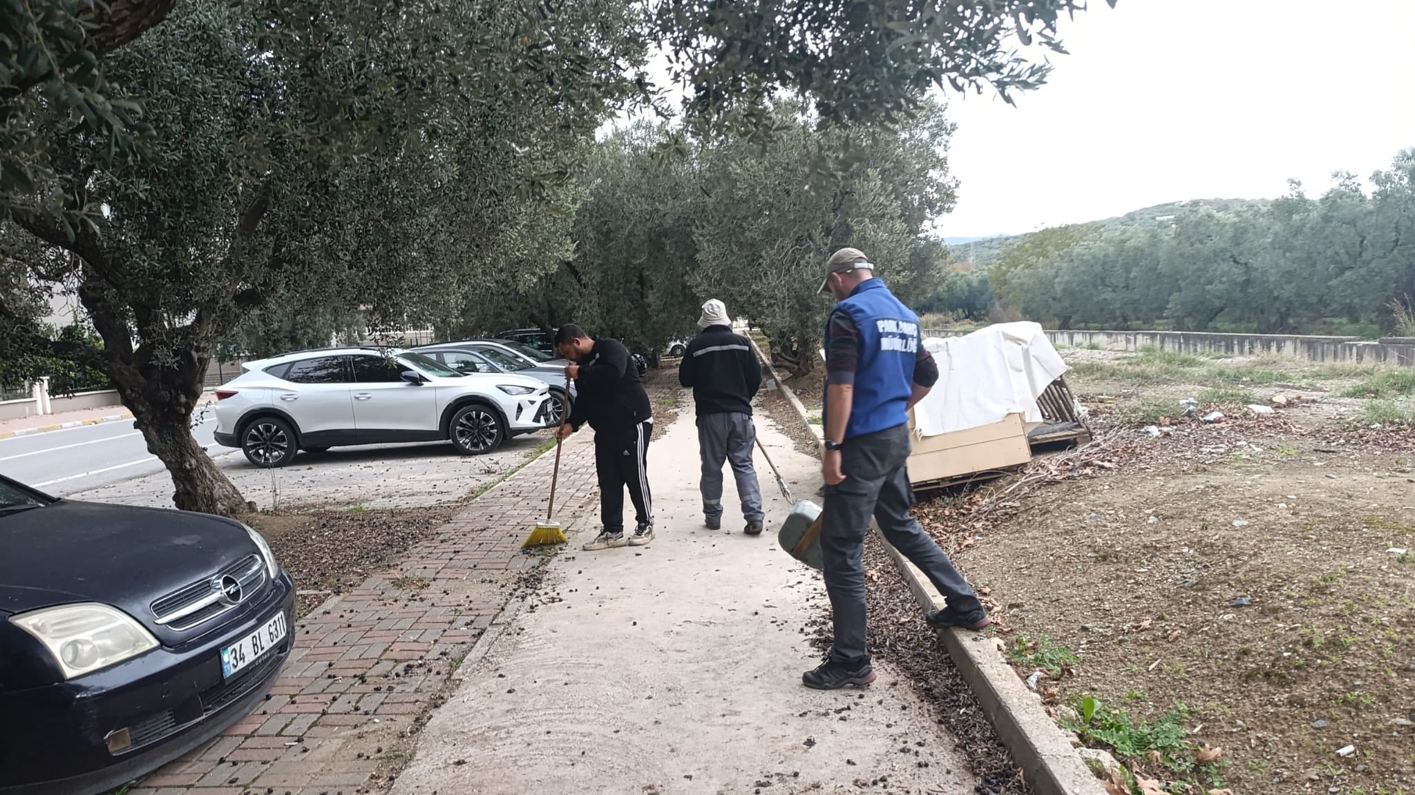 603946639 1503700921798653 3807860498476217799 N