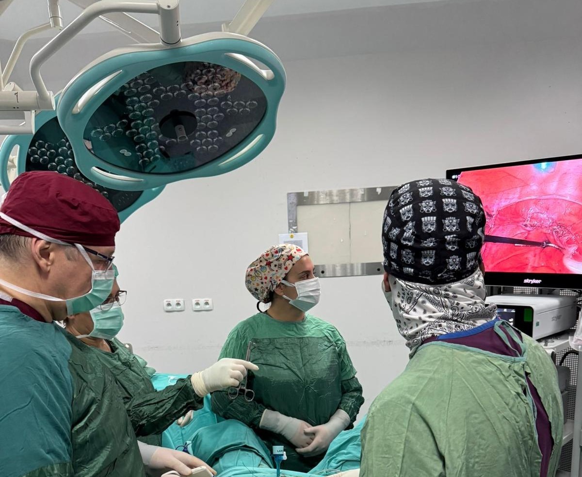 604753654 1307742088049646 486760488981477245 N