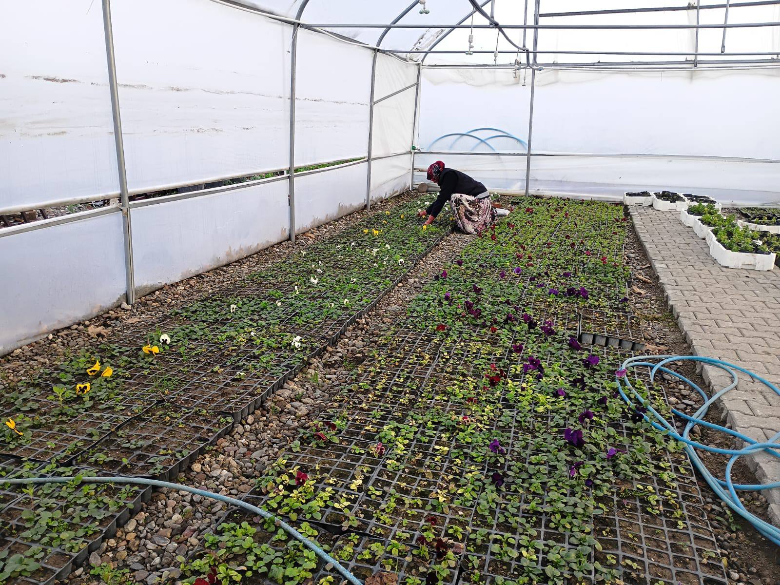 605106235 1188196376846691 1437514442383942455 N