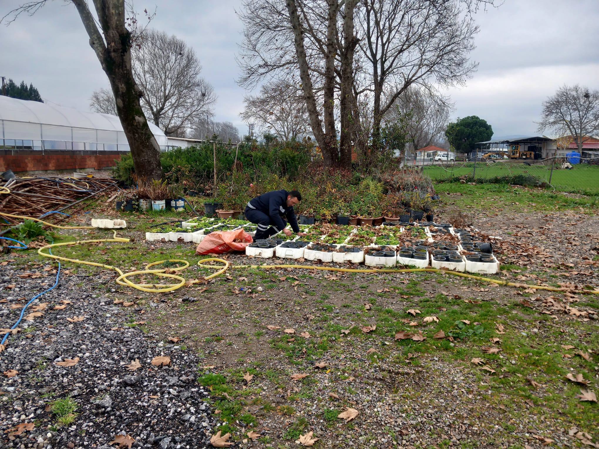 605146070 1189623066704022 5562178324279421033 N