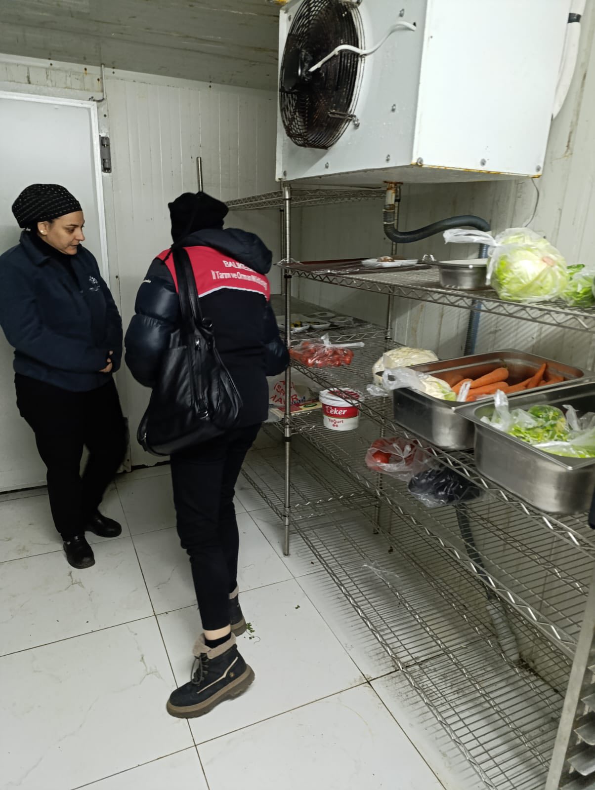 605540498 1191260303123236 5168441649722184761 N