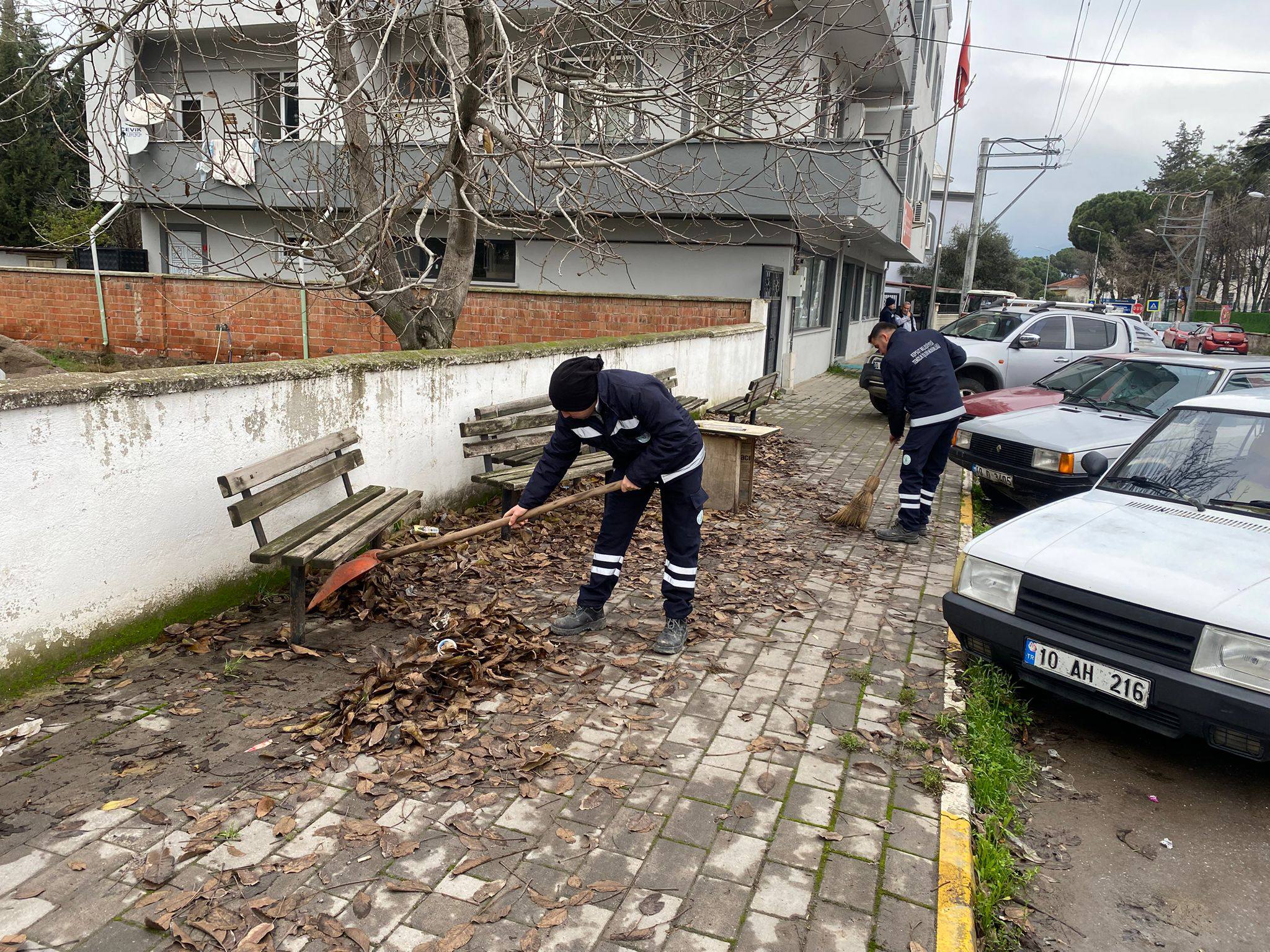 605623855 1189622456704083 8752708607967687075 N