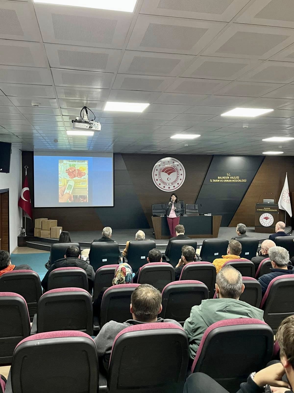 605726172 1274607571376769 8760208913405541794 N