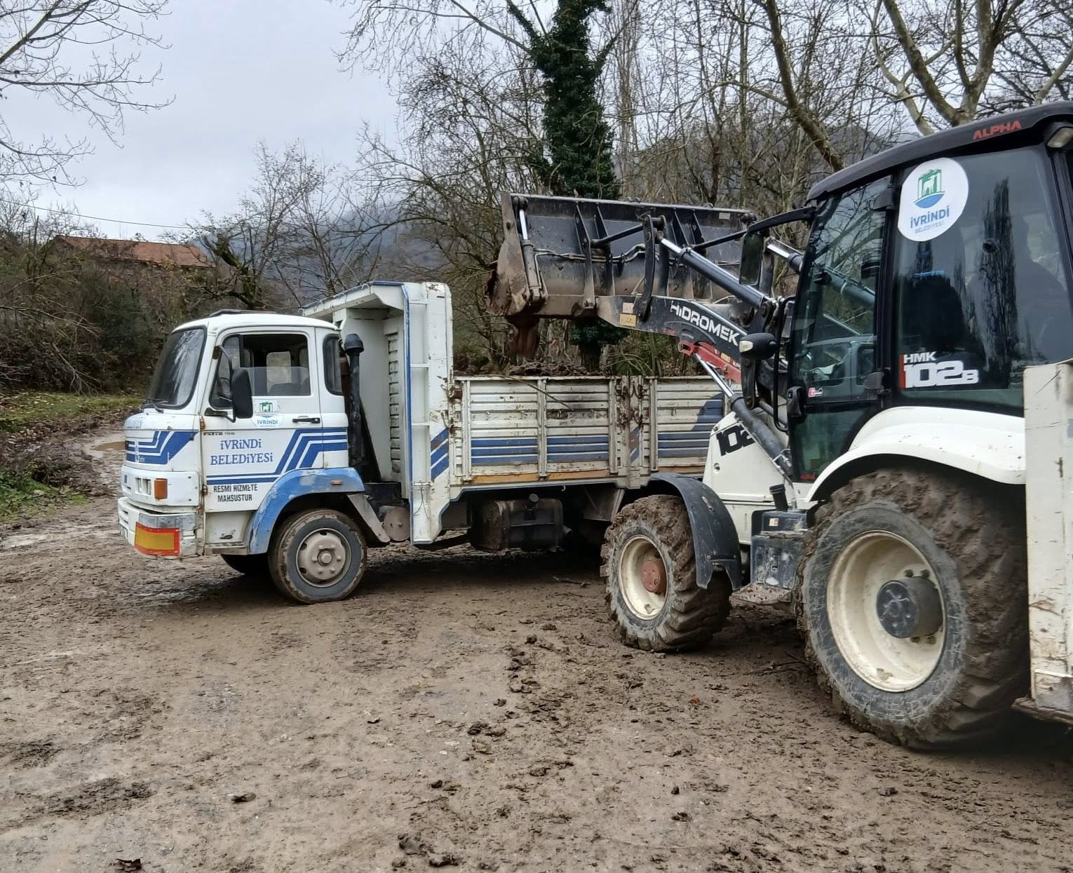 606420931 122207131022335762 7743814860196615124 N