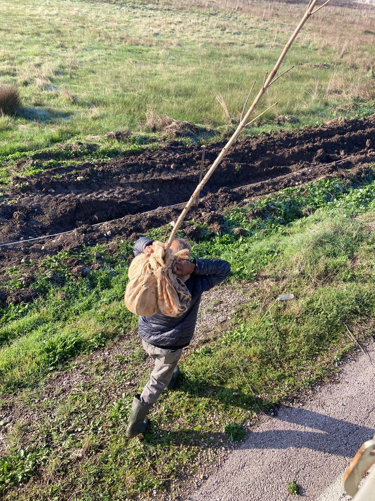 607202458 1328241649344170 7816388707183629802 N