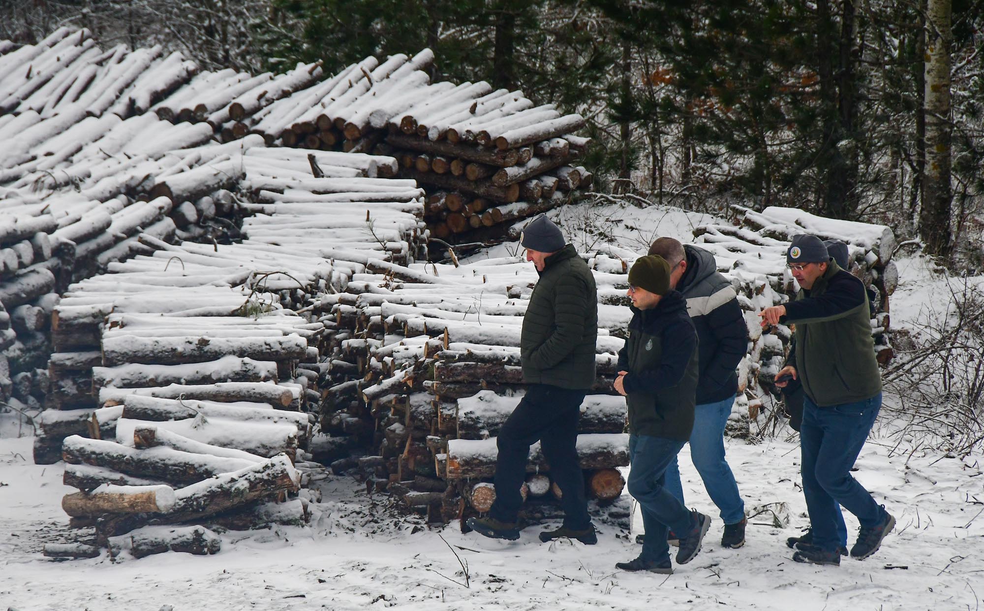 607427335 1331047929063542 6083575074495582868 N