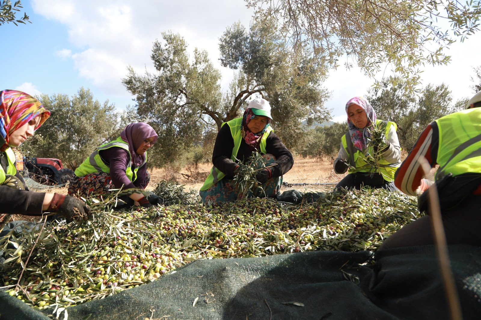 608277042 1338158518350513 6389269205743388169 N (1)