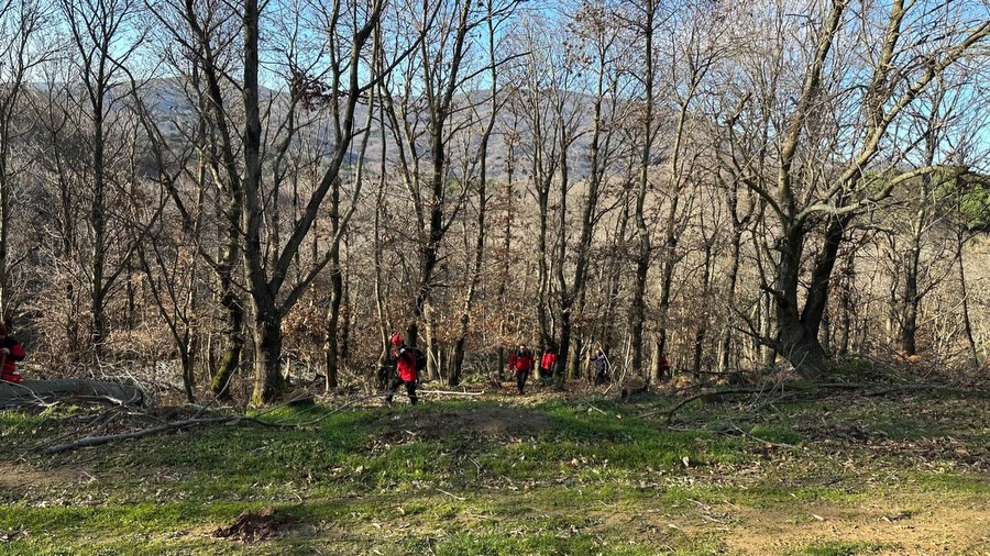 608387977 18341023024225400 8143926612576570331 N