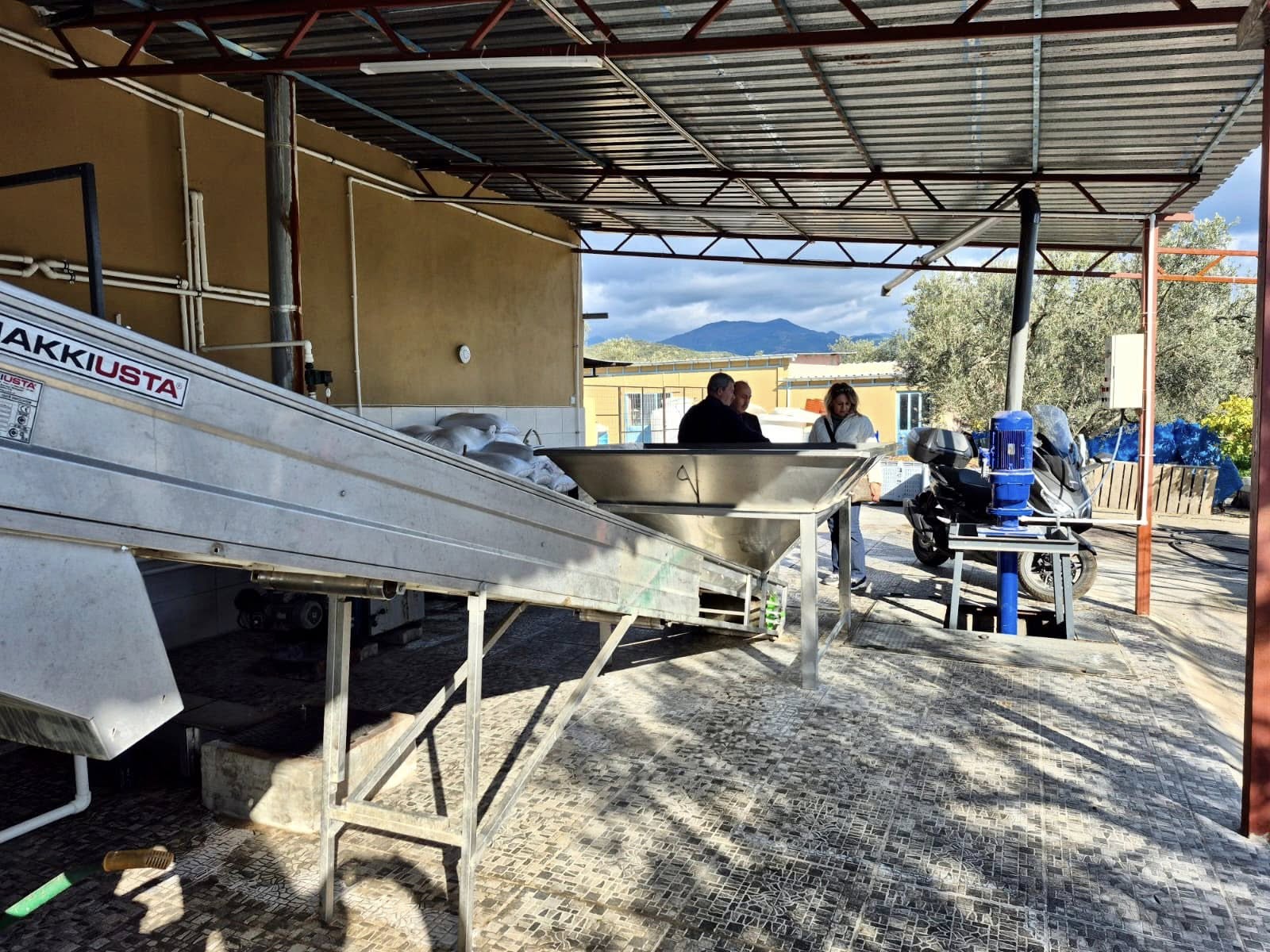 608517228 1277411394429720 4016020660621852221 N