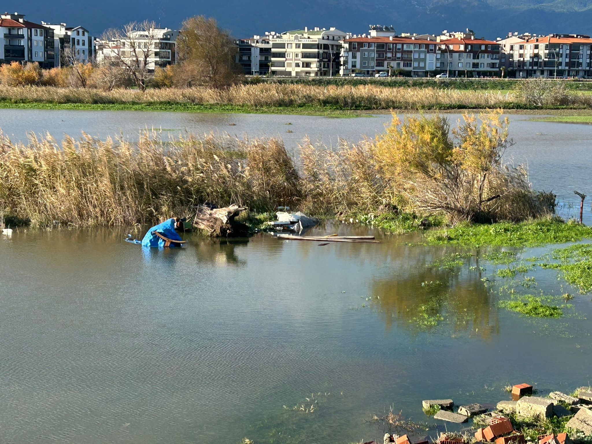 82106923 9Bed 4504 8664 Baec7992F2C5