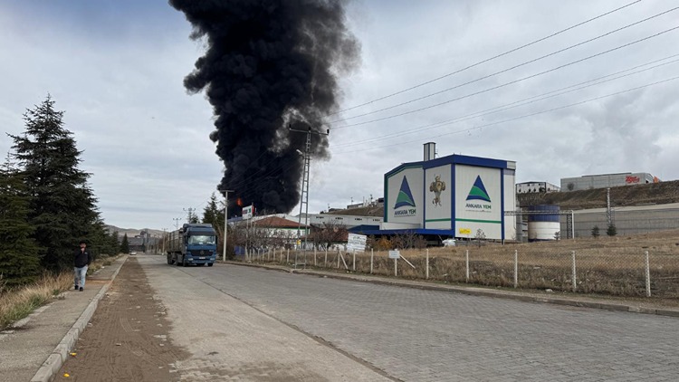 A R A L I K 10 20251210 2 72001636 120025608