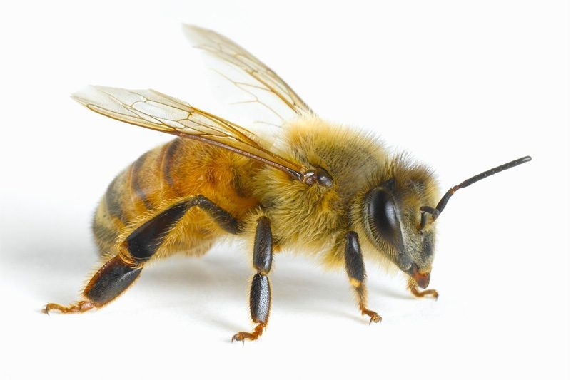 Whatsapp Image 2025 12 22 At 17.25.48