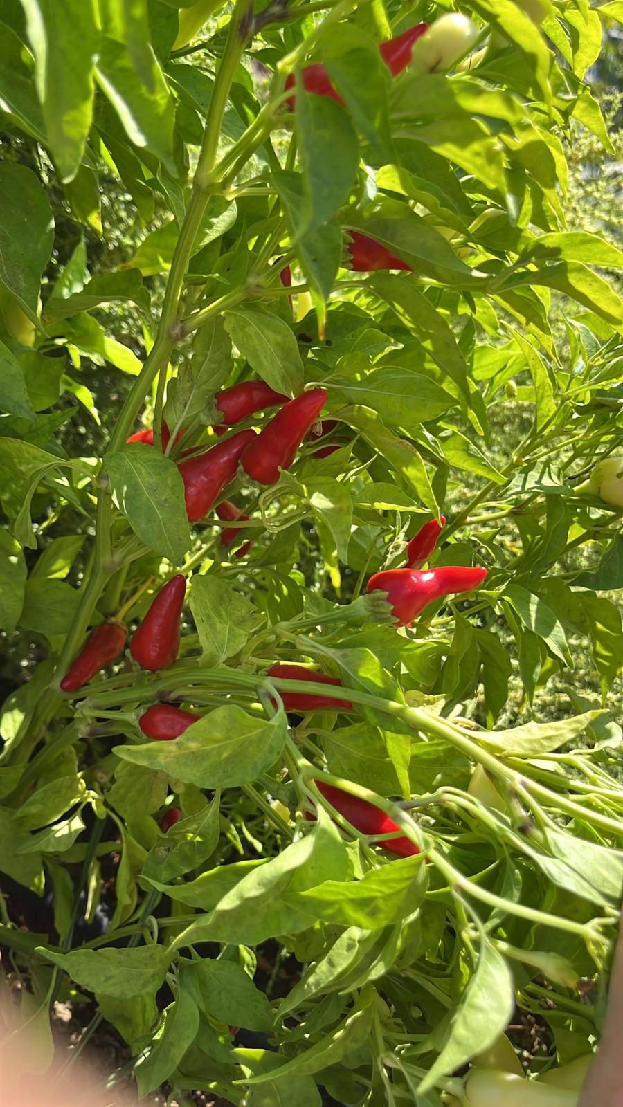 124B76Fc 94C9 4A40 Ab64 3Bbbc6172Bca