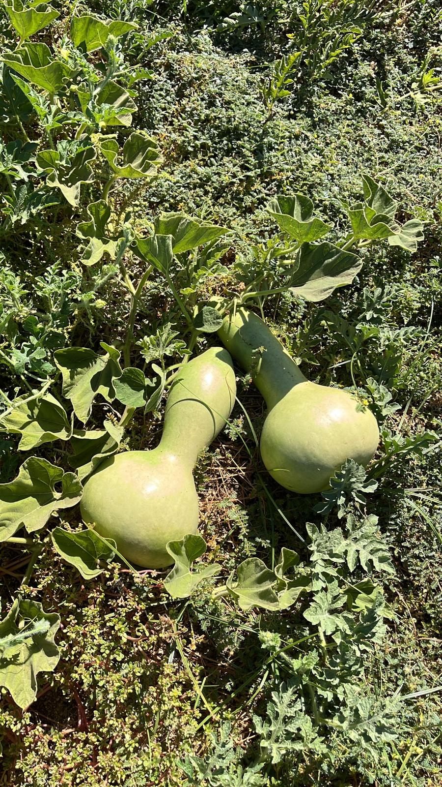 19477F9F A33A 497E 870A 9612B299E857