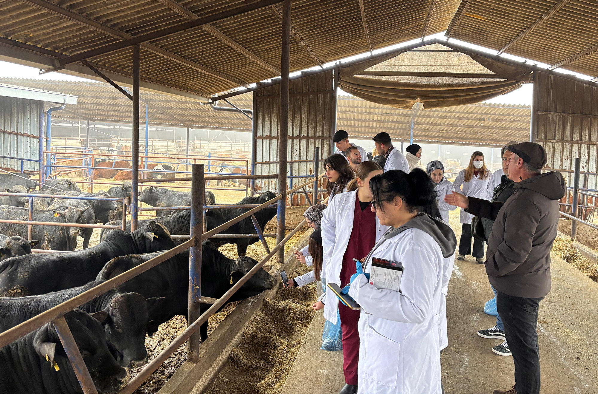 608184349 1312819257541929 1349930984675036794 N