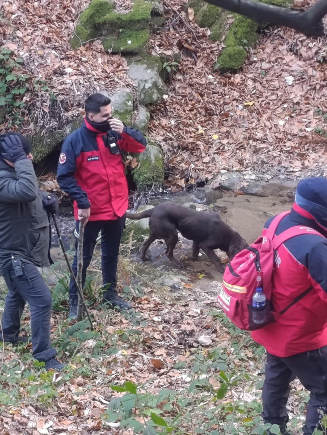 608983808 1206467488135137 8943500691592368466 N