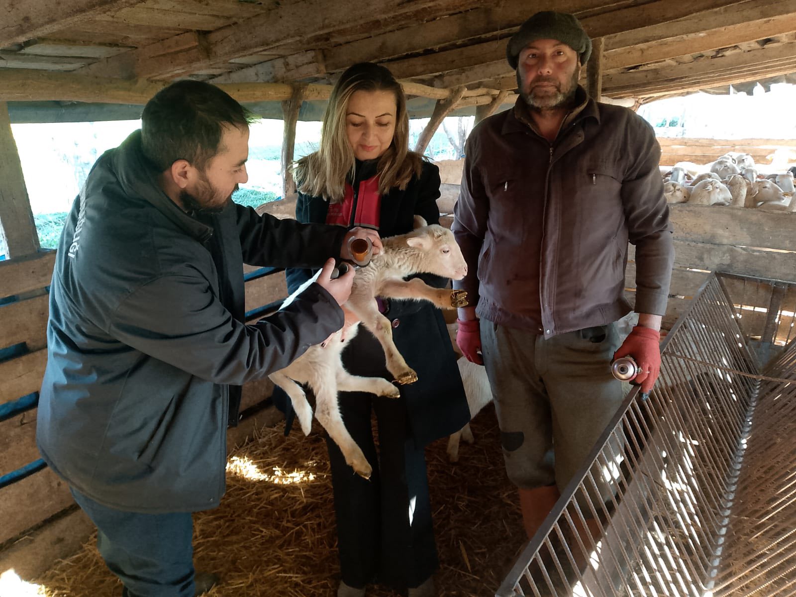 609032082 1280903484080511 812238561545944308 N