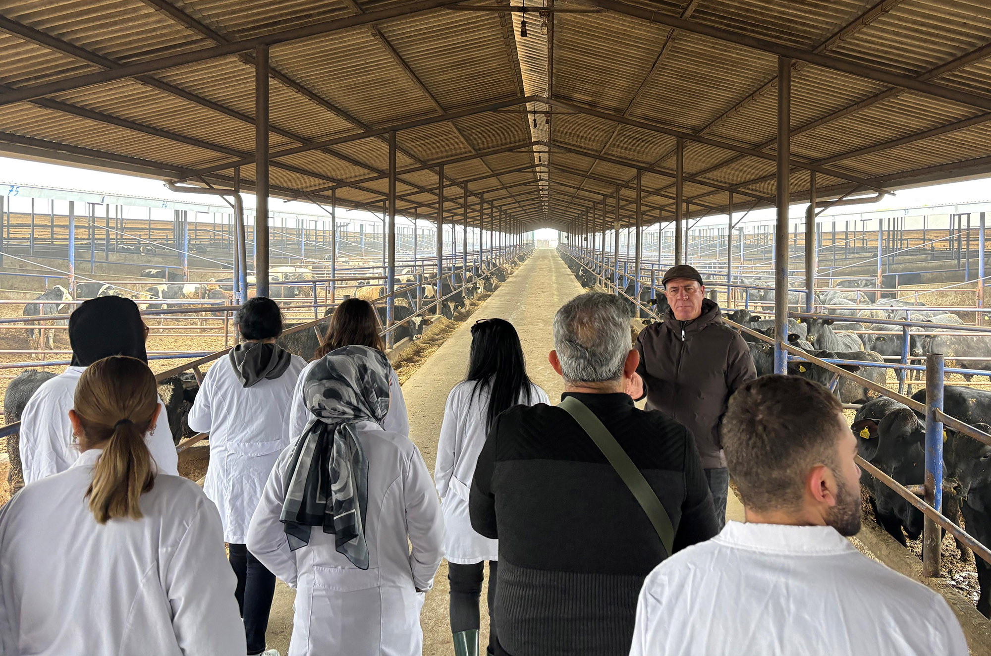 609043104 1312819254208596 7586903574903885348 N