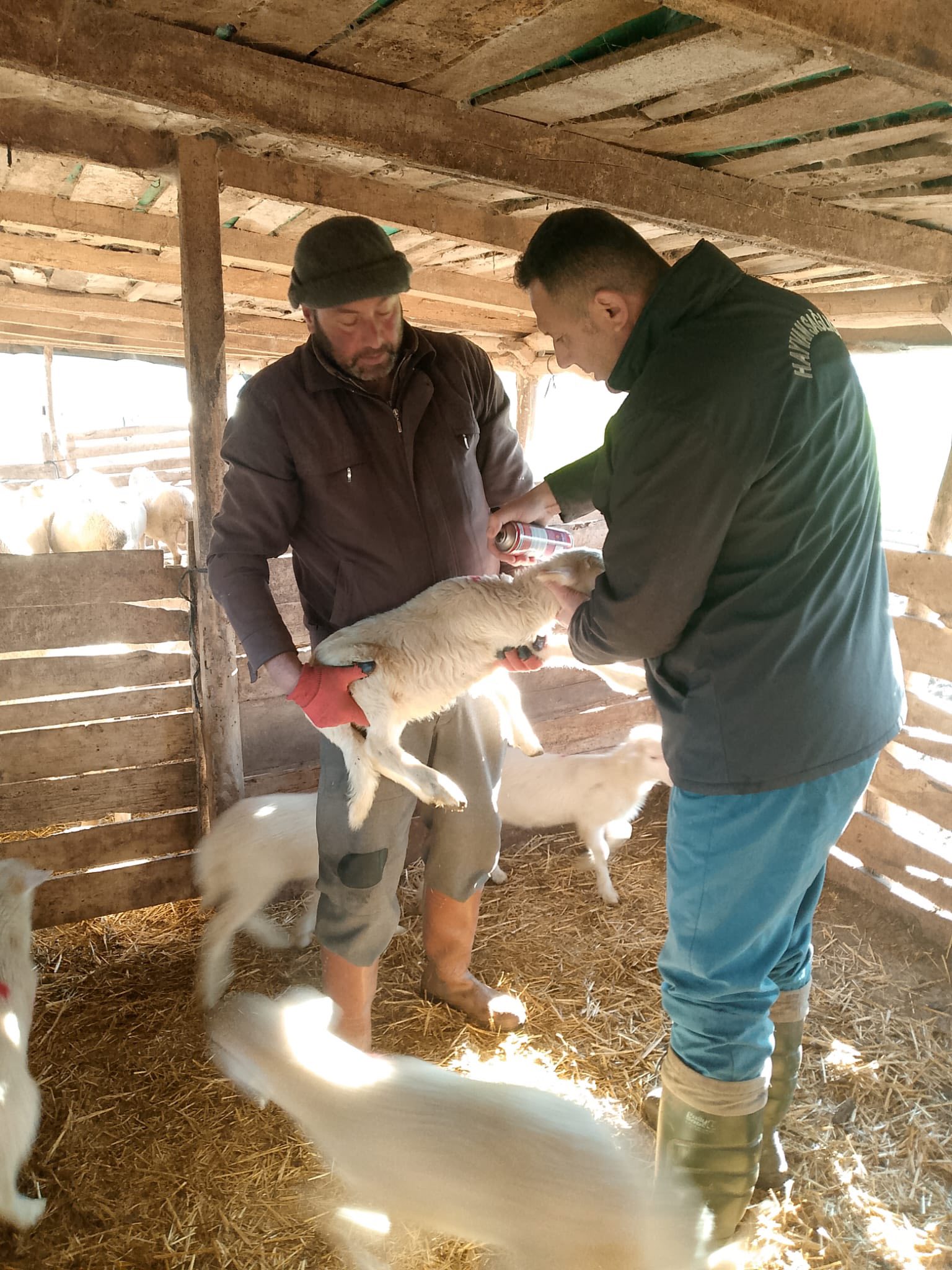 609089249 1280903440747182 2278138617834928549 N