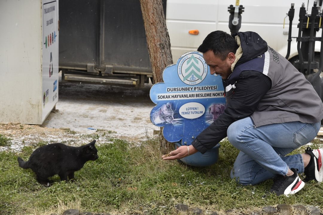 609556752 18506138197079512 9114176759525256333 N