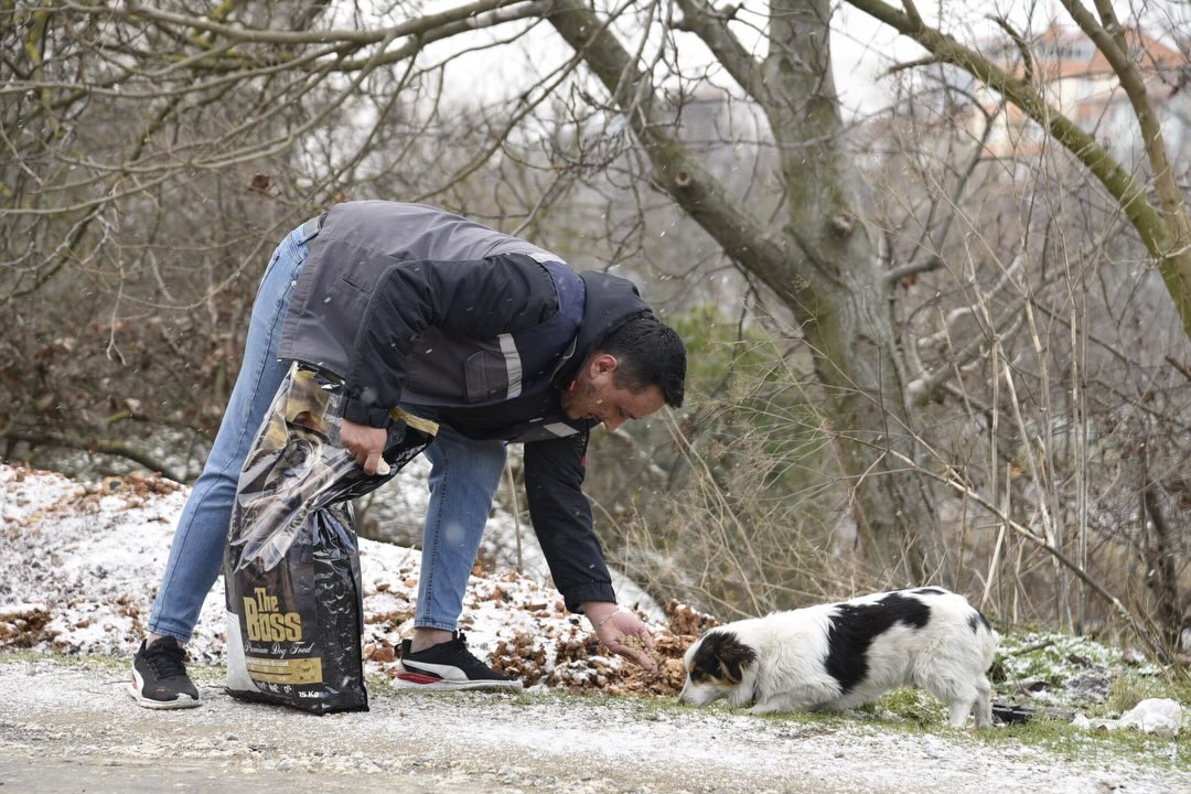 609659371 18506137663079512 2577688713496265467 N