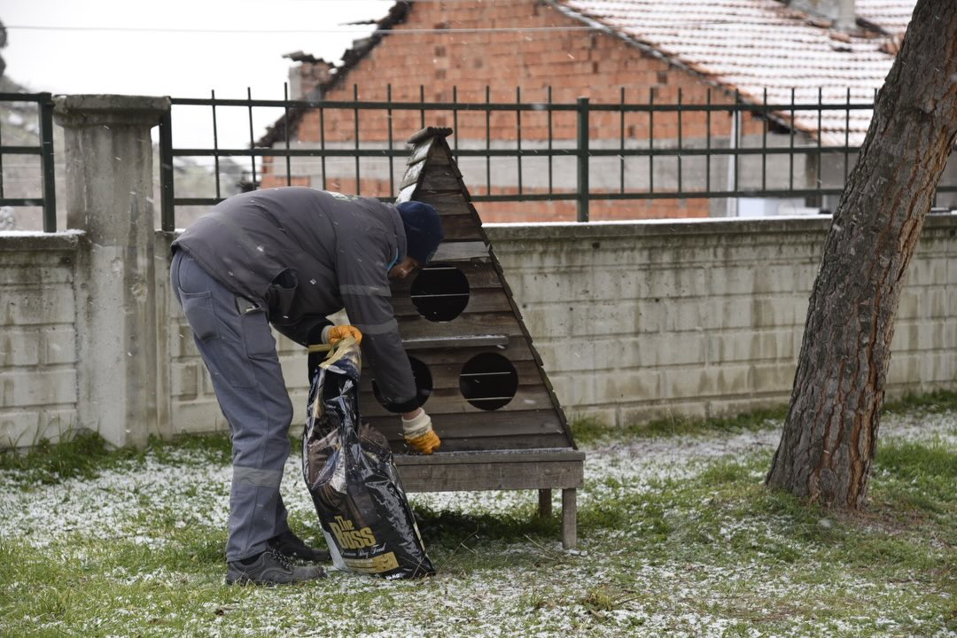 610528429 18506137714079512 1795291884187591350 N