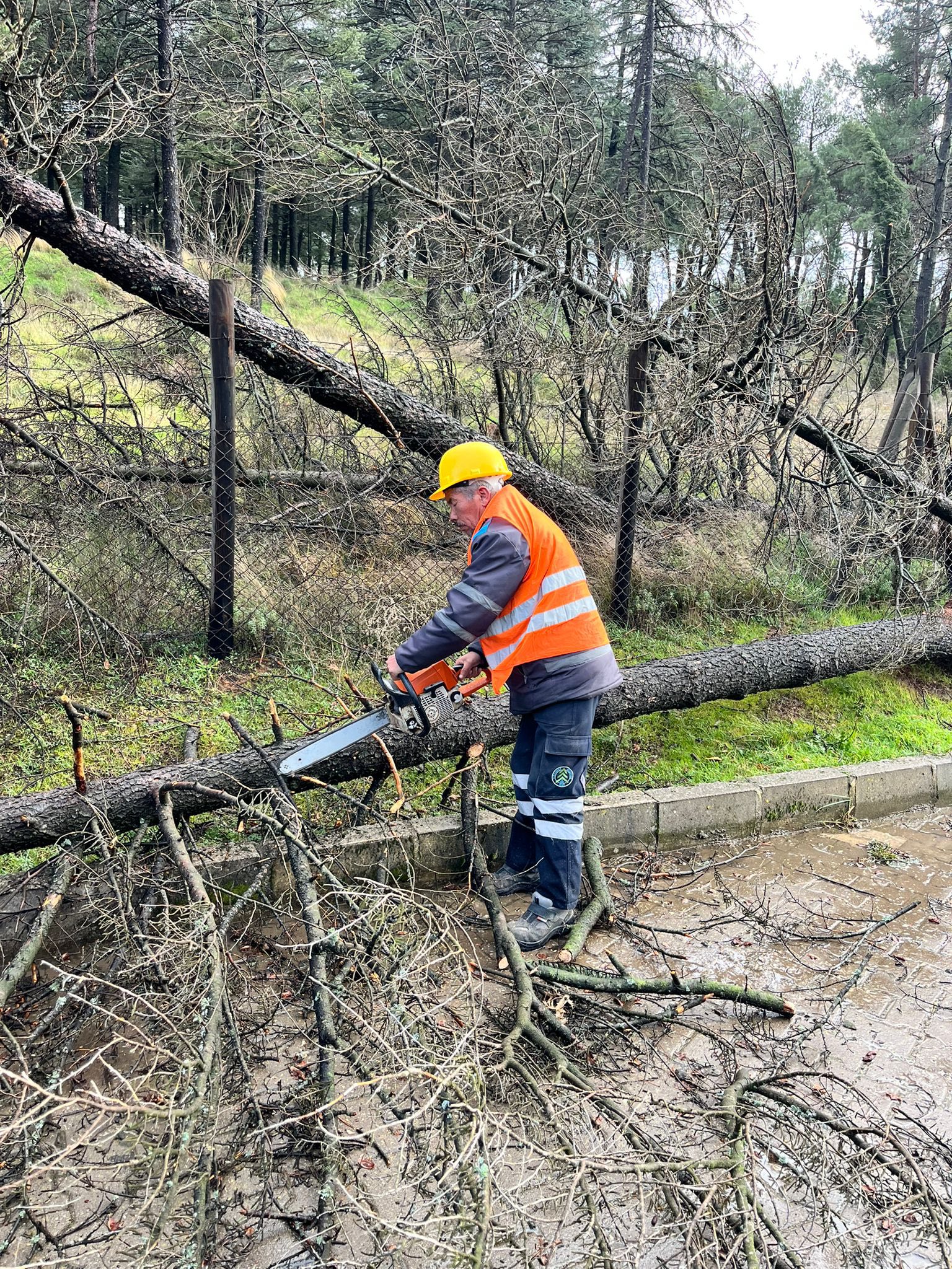 612015582 1292106819622234 6024325678407580841 N