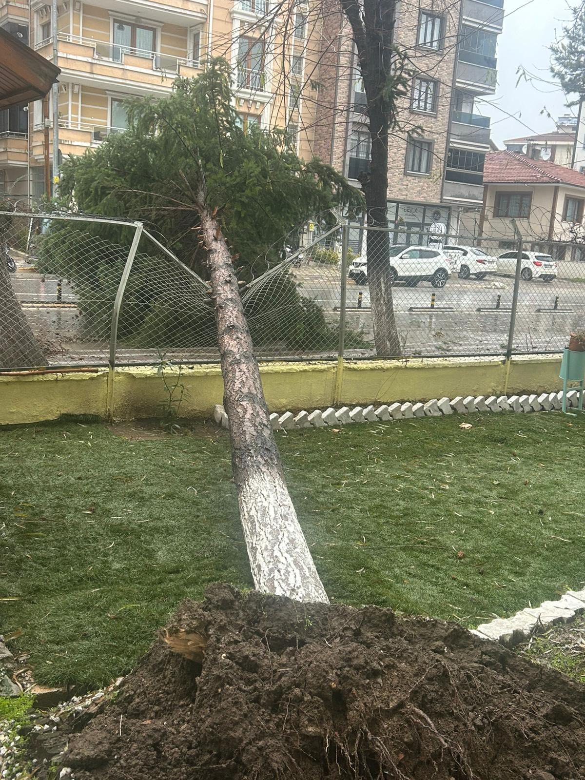 612410125 1292106956288887 5224240621121153707 N