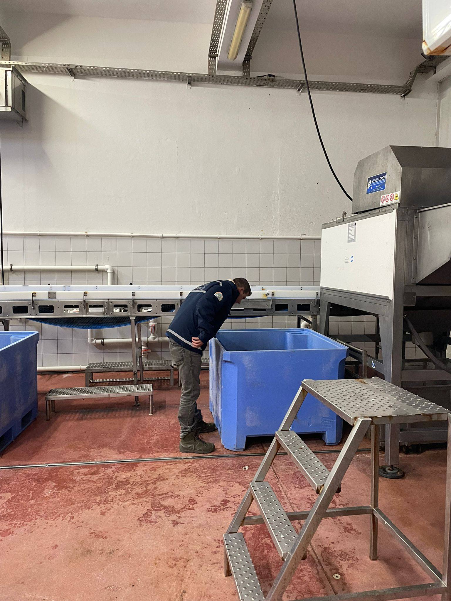 614155334 122155664654694862 5648480764638451008 N