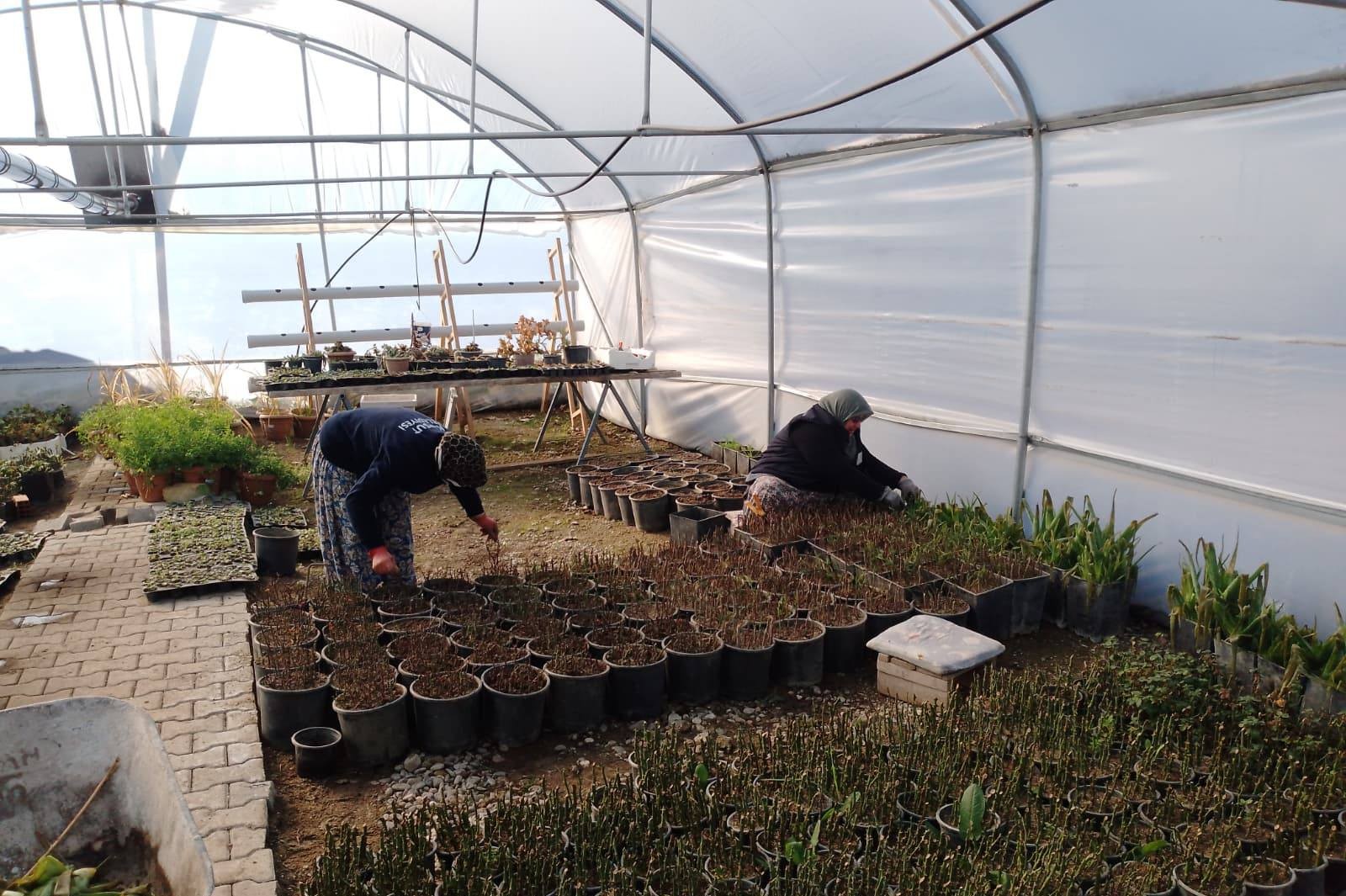 614360611 1200490918950570 5193559189810344607 N