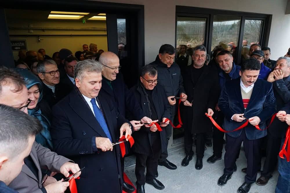 614403447 912968704730123 2482597741960005124 N