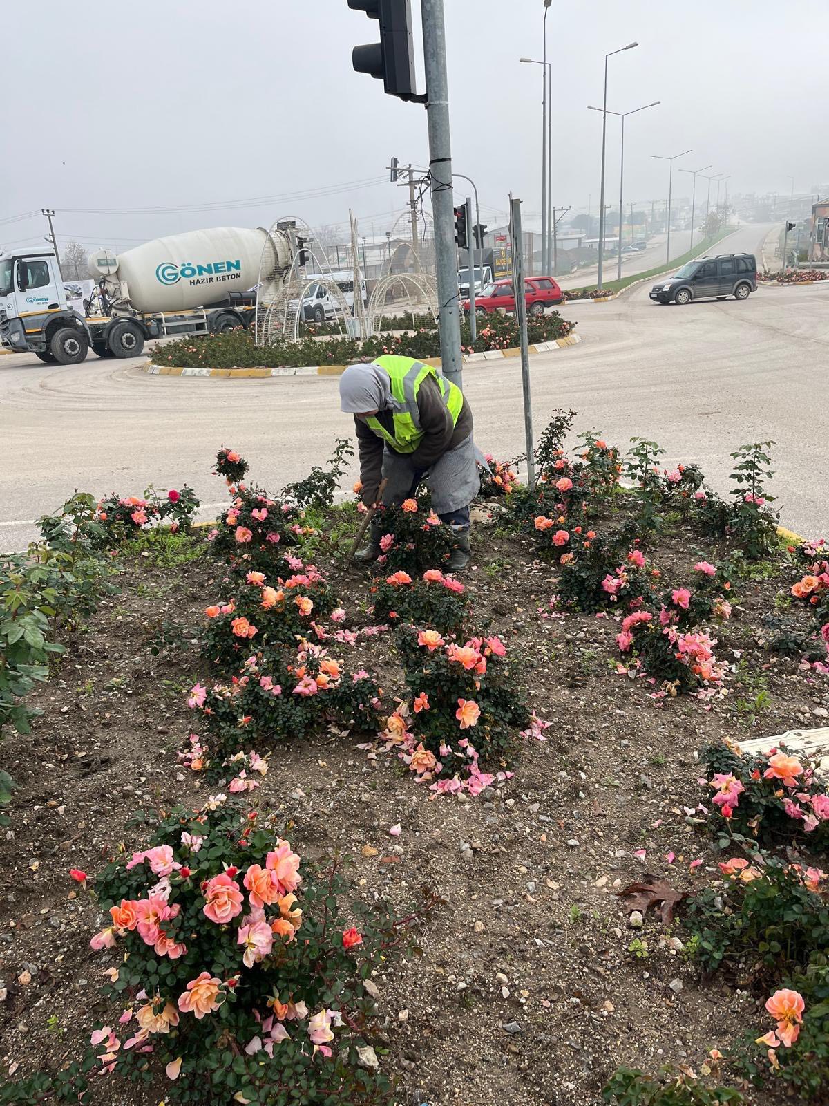 615805675 1342685384568162 7045236350798280890 N