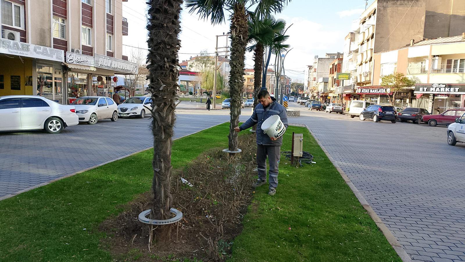 616109329 1342685154568185 7149788565641627579 N