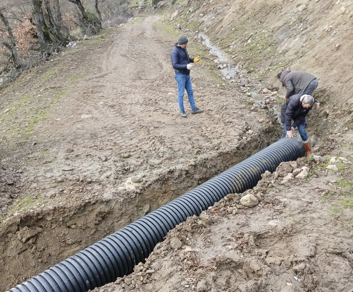 617087618 122209348526335762 7657965877228382374 N