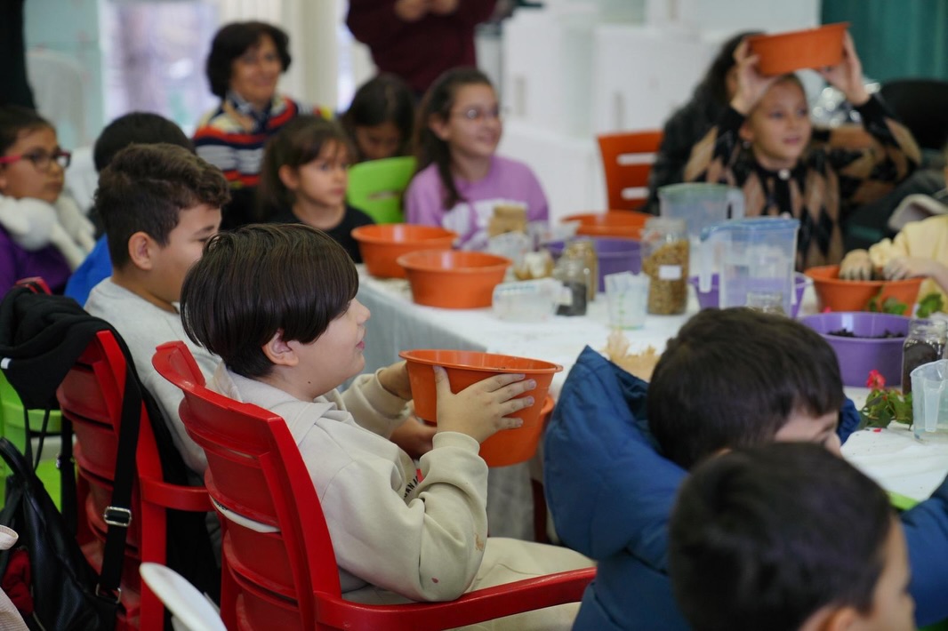 619291819 18524421523064151 160921532727011530 N