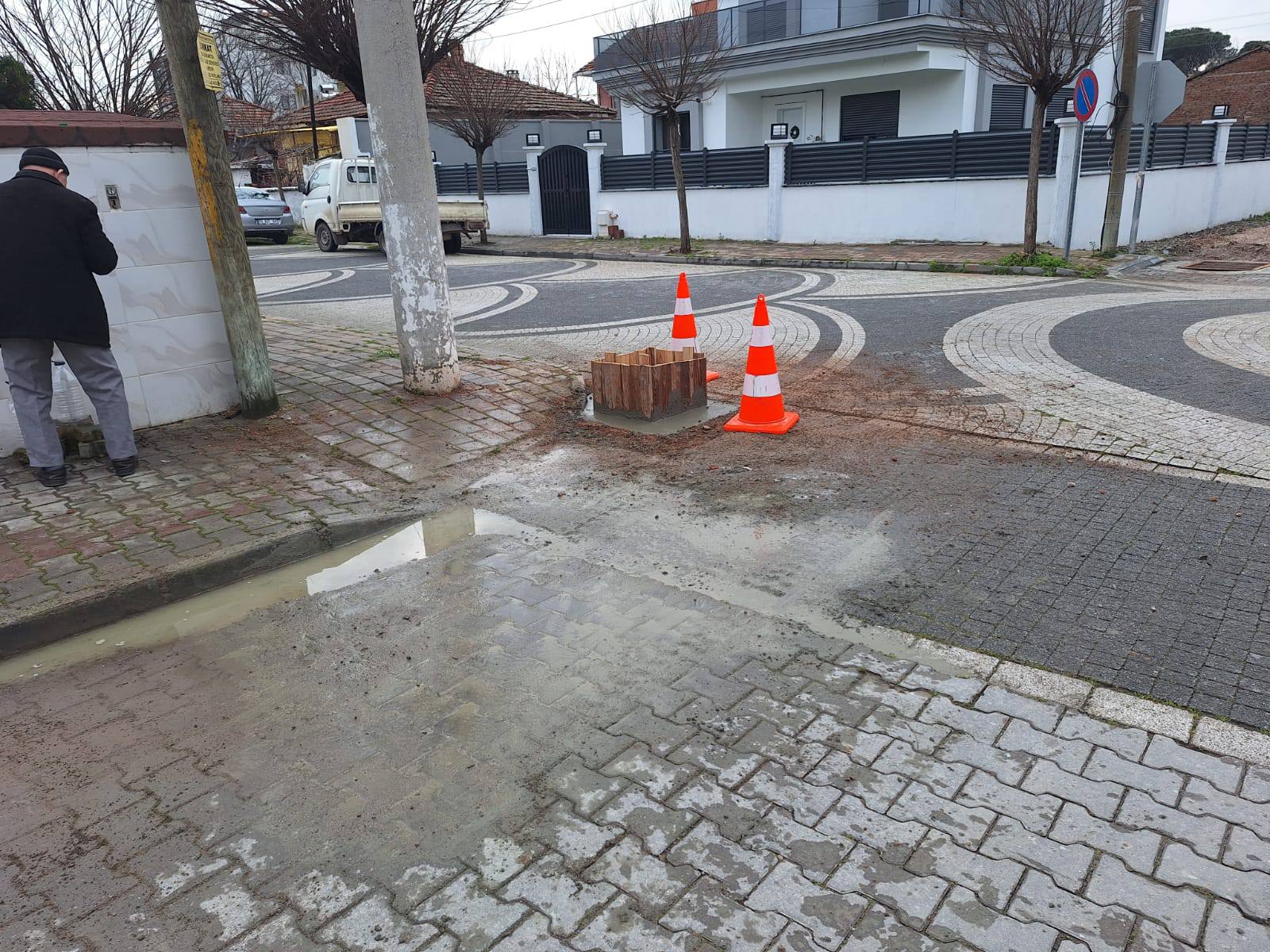 619295137 1211368857862776 5635078411191318954 N