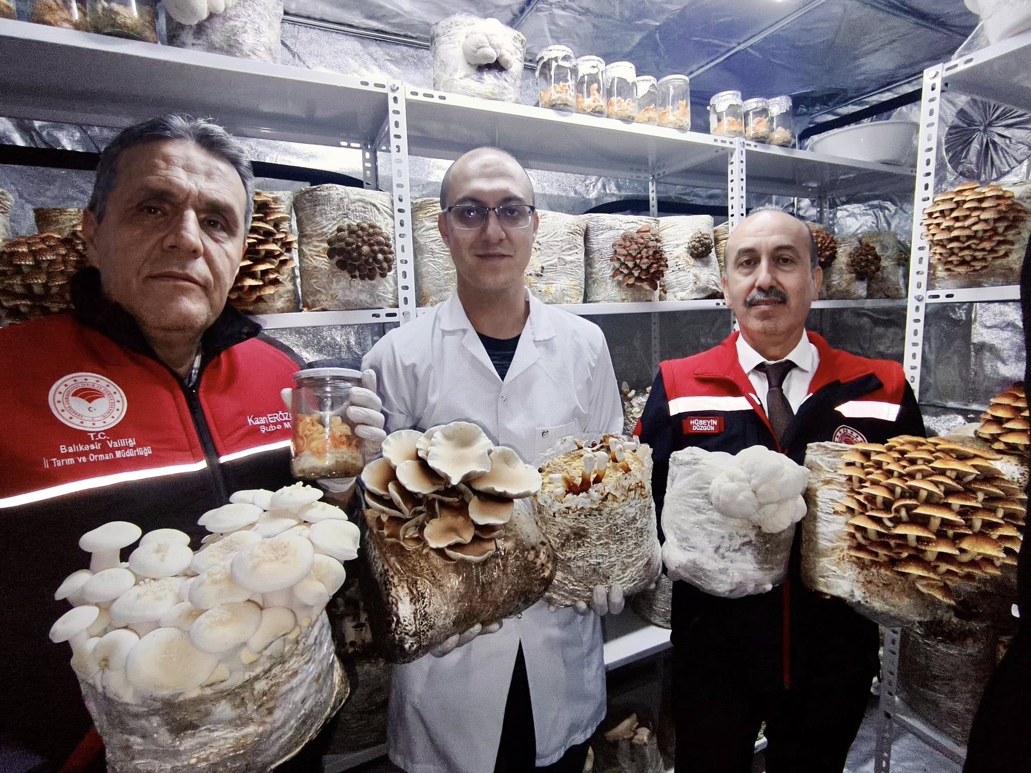 619653235 1296594112511448 7287606342682928128 N