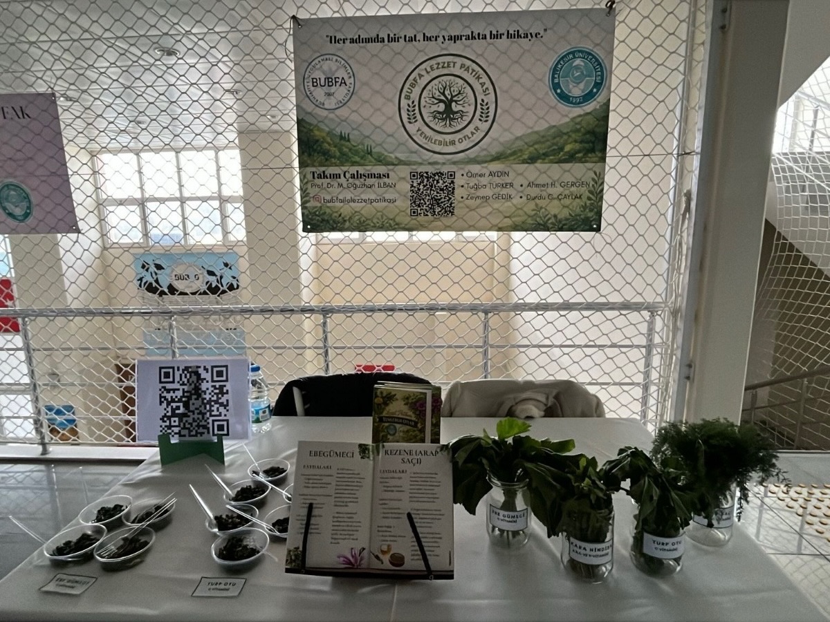 619895315 18319963177247845 6663431028728928083 N