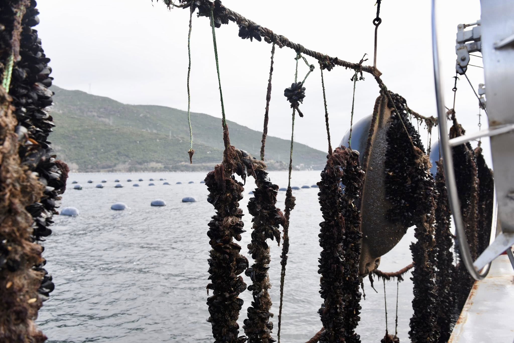 619901243 1296924142478445 2024258975155211940 N