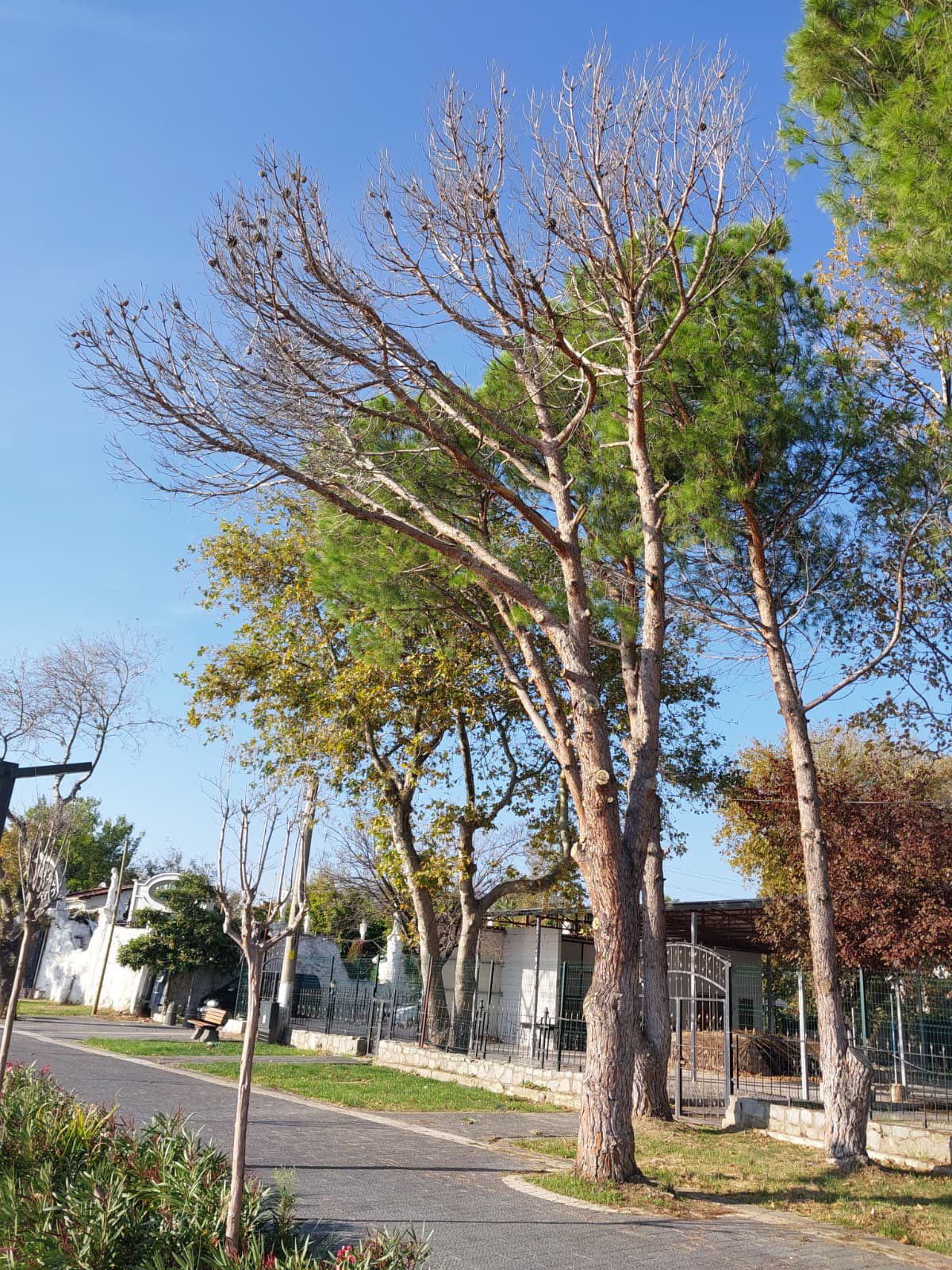 620015905 1536451285190283 6721230575198037237 N