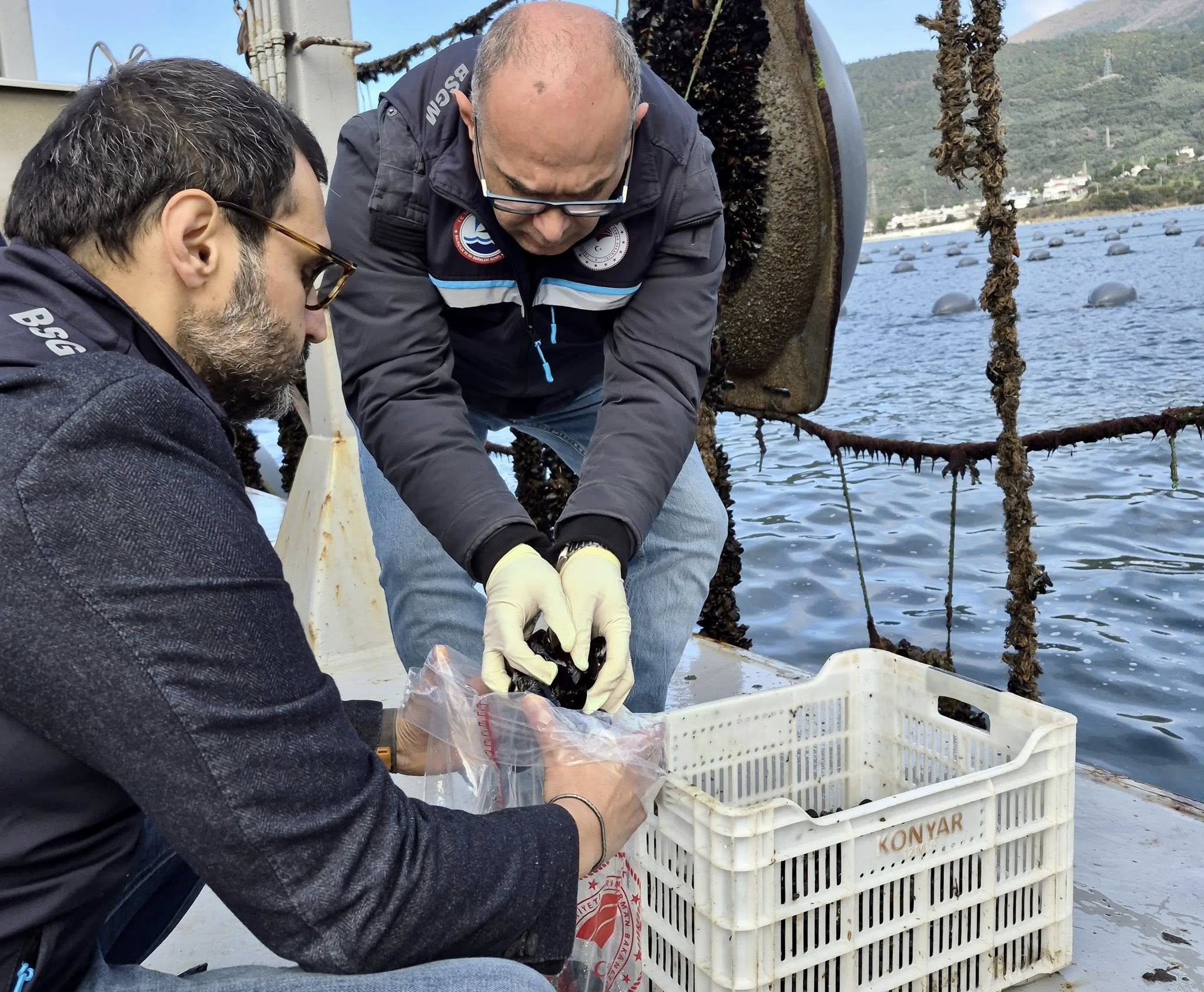 621220768 1296924409145085 8794740755842082526 N