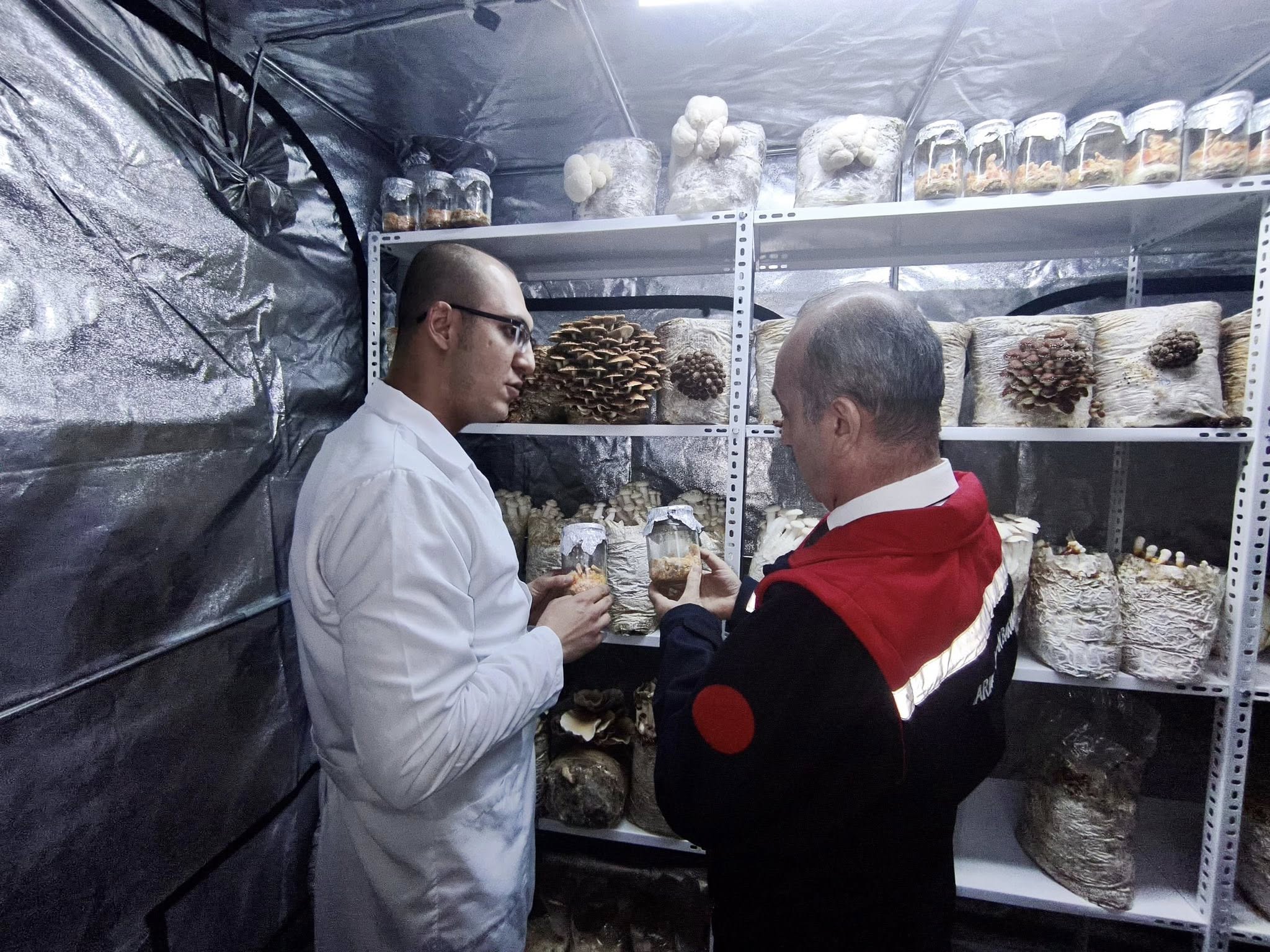 621492518 1296594772511382 9080622844315309342 N