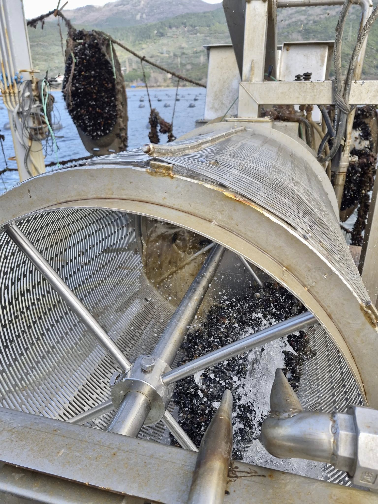 621583130 1296924172478442 3510389668892942317 N