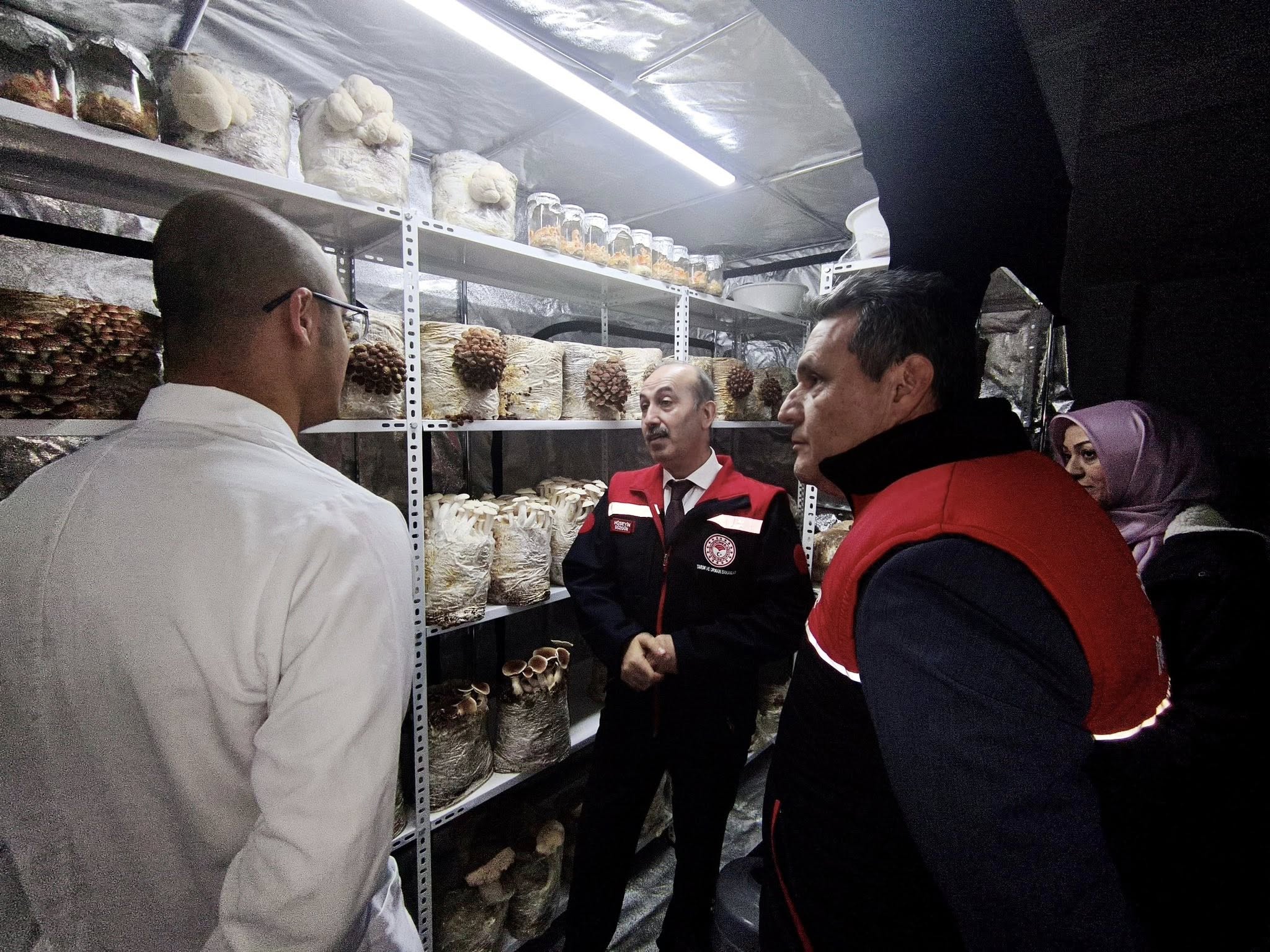 621689873 1296594669178059 7354758077530098440 N